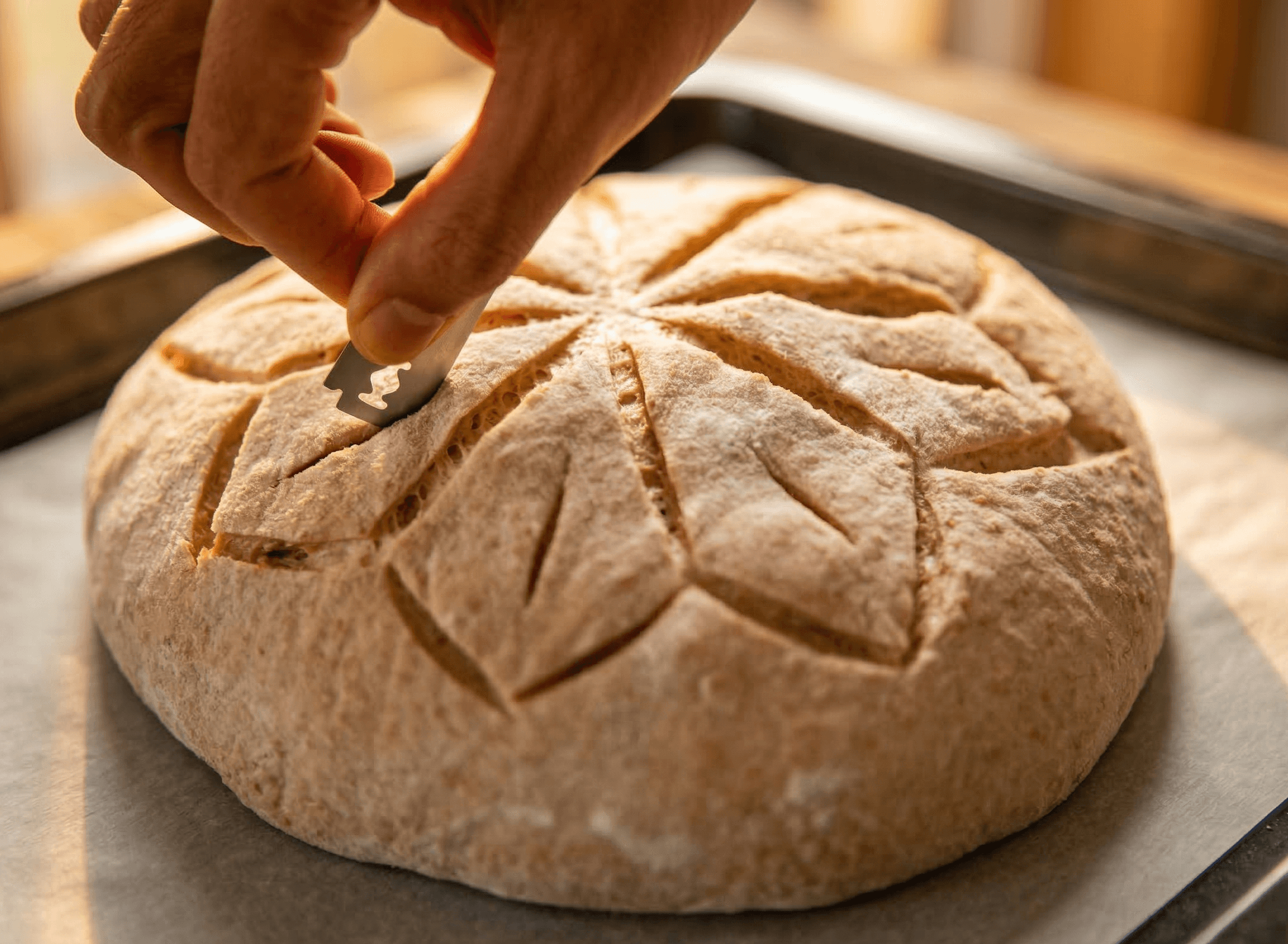 The Mechanics of Bread Crusts