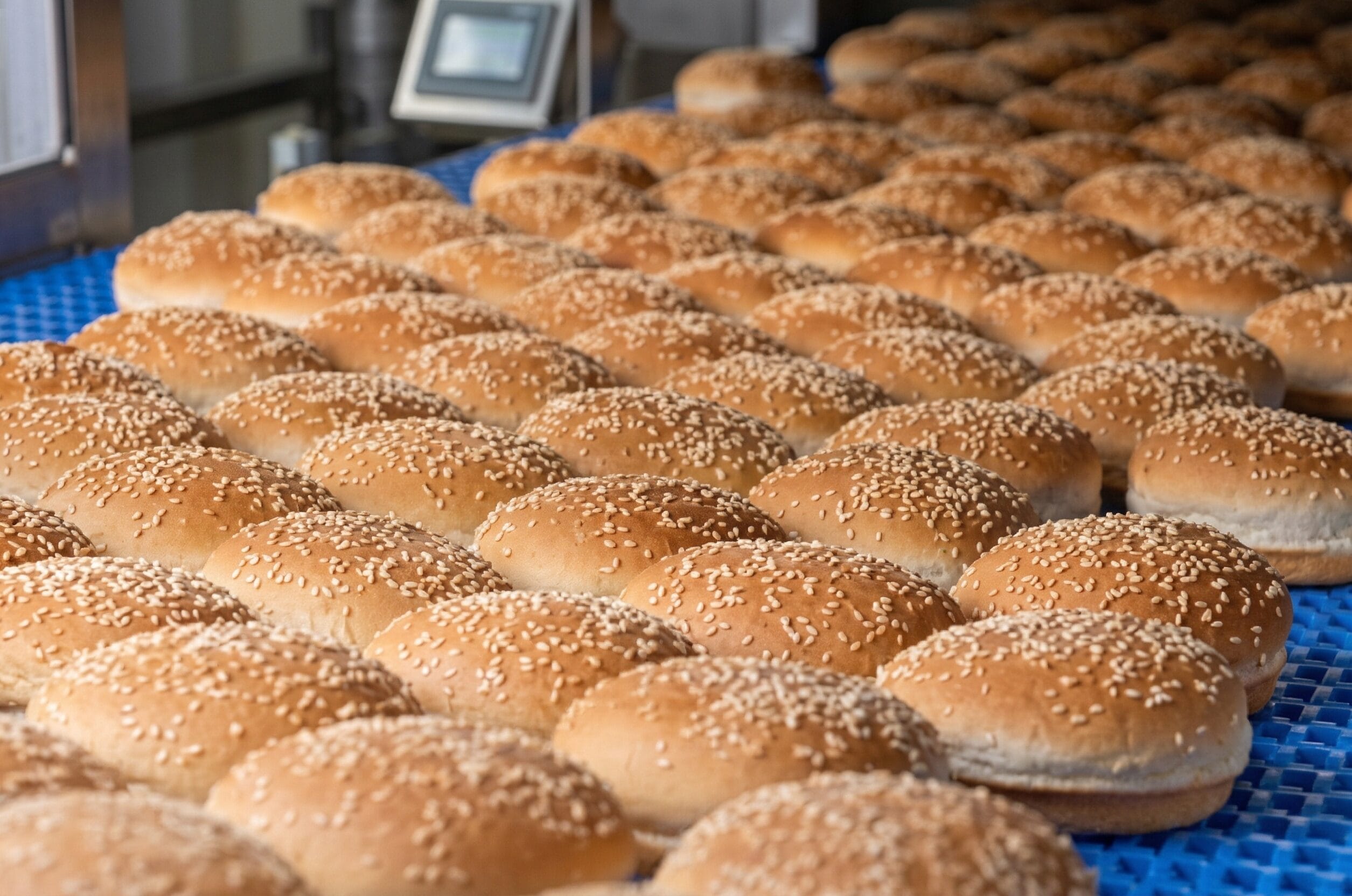 Stability in Bun Production Systems