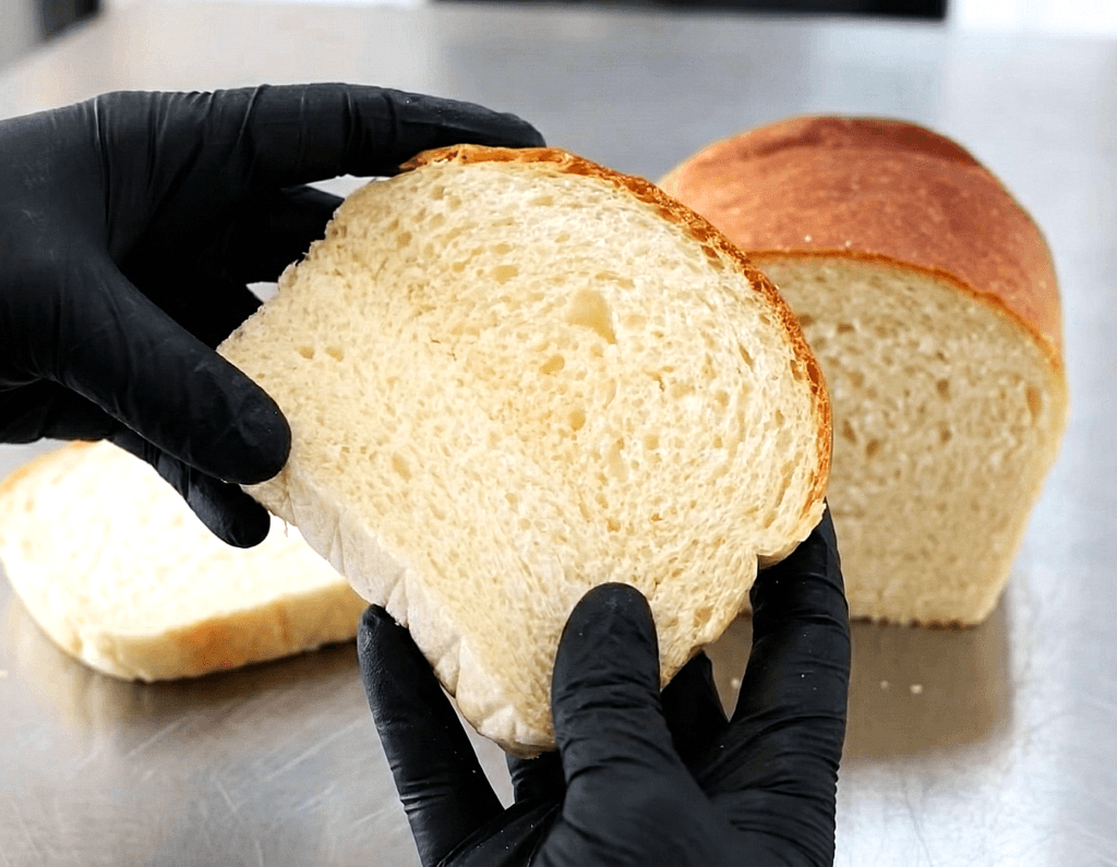 Gloves holding a slice of extended shelf life bread to demonstrate crumb elasticity and texture.