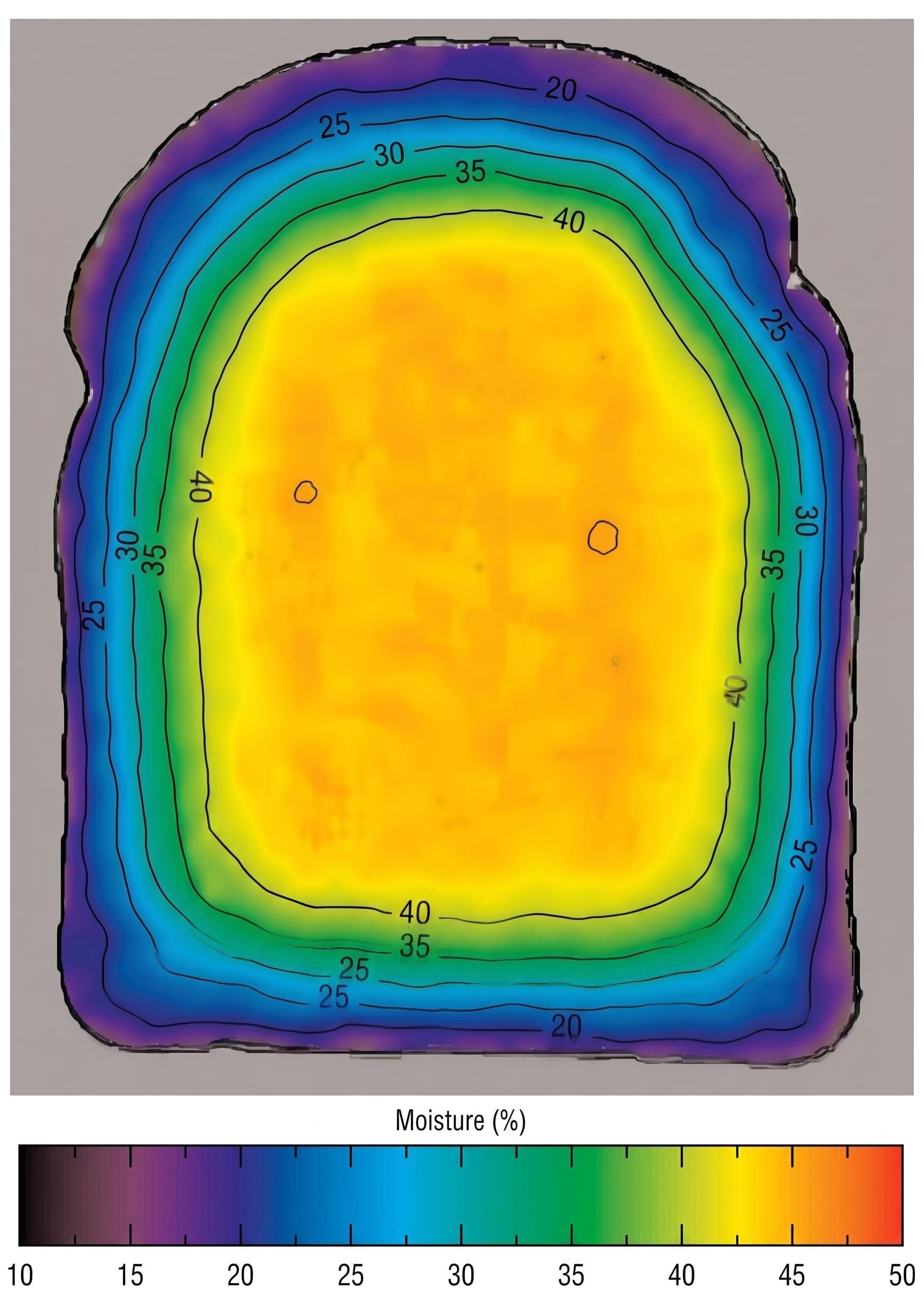 Jams and Mold Claims in Industrial Bakeries: What Vision Systems and Hyperspectral Scanning Solve