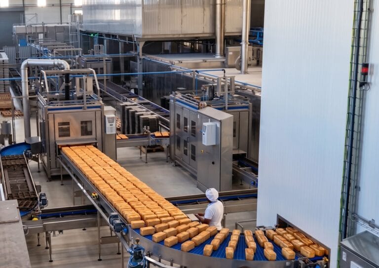 Equipment for Handling Live Doughs