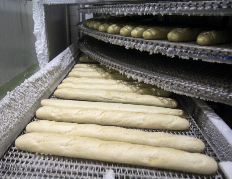 Overcoming Technical Challenges in Frozen Doughs Packaging