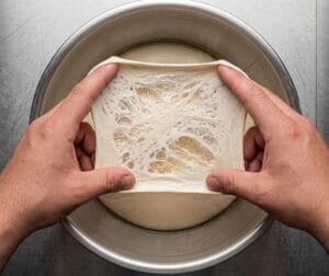 Gluten development and elasticity test in industrial dough mixing