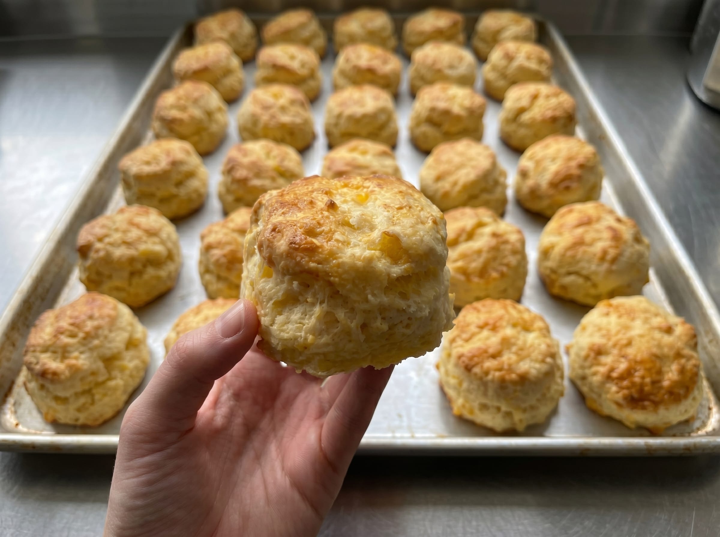 Why Your Scone Dough Gets Sticky: Mixing Temperature and Lipid Plasticity on the Production Line