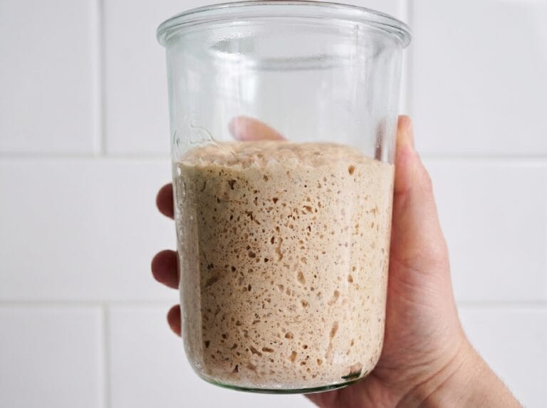 Sourdough Starter Maturation: A Day-by-Day Protocol for Industrial Fermentation Consistency