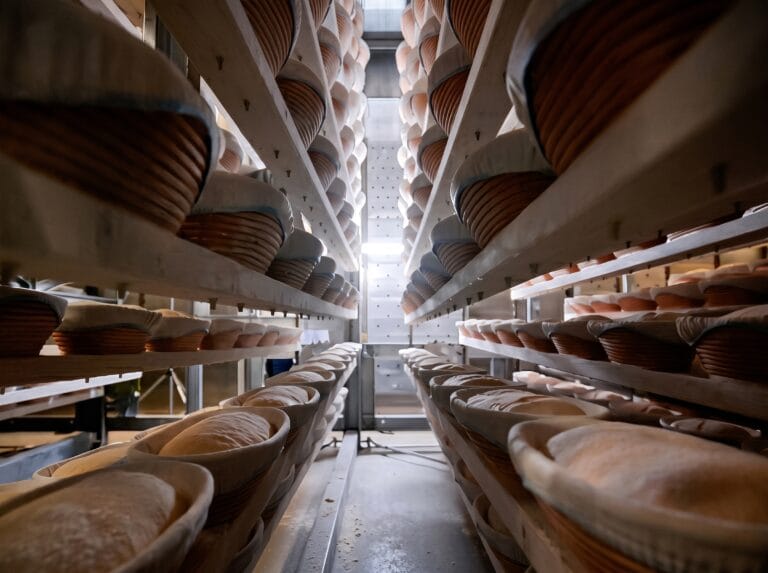 Torn Dough and Collapsed Crumb: Why Multi-Stage Resting Defines Industrial Bread Success