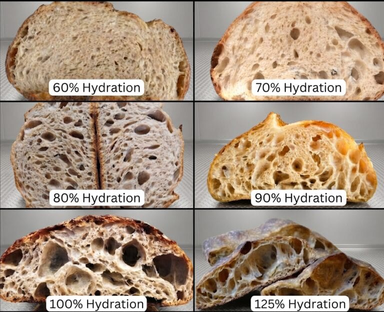 Water Absorption: Defining the Hydration Limit for the Ideal Crumb Structure