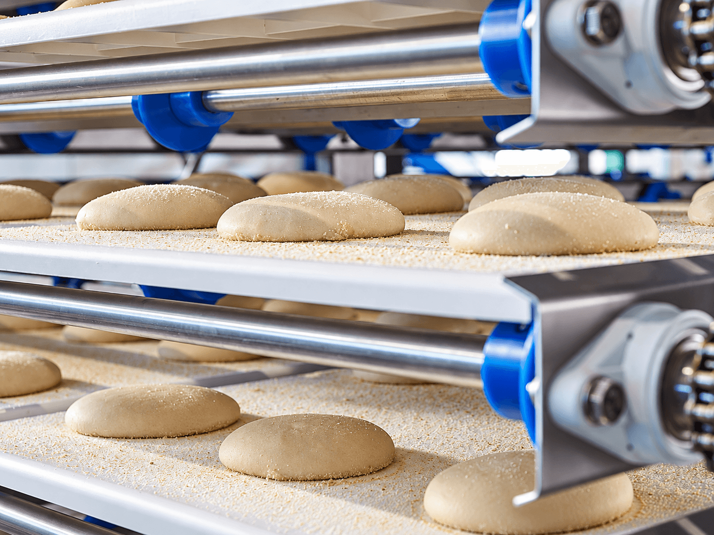 Continuous Proofing Systems for High Hydration Breads